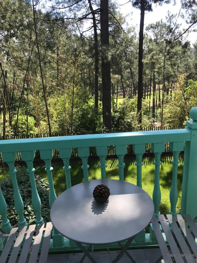 Un Nid Dans La Pinede Villa Lacanau Buitenkant foto